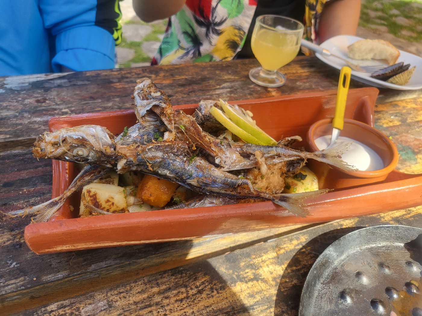 cable car fish